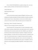 A CONJUNTURA BRASILEIRA DE 2013-2016: uma análise sociológica sobre a crise social, política e econômica com ênfase na observação dos processos de interação social