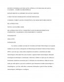 RELATÓRIO EXECUTIVO: CONSISTÊNCIA DOS DADOS HISTÓRICOS DE CHAPECÓ/SC, CAÇADOR/SC, SÃO JOAQUIM/SC E LAGES/SC.