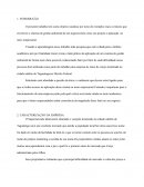 Prointer II Relatório Parcial Gestão pública Anhanguera