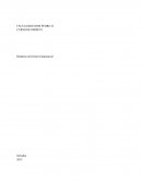 Relatório de Direito Empresarial Empresa MJA Comércio de Confecções