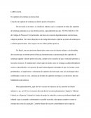 Conceito de capítulo de sentença no direito positivo brasileiro