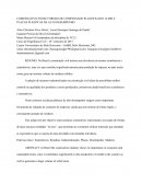 COMPARATIVO ENTRE FORMAS DE COMPENSADO PLASTIFICADO 14 MM E PLACAS PLÁSTICAS DE ALTO DESEMPENHO