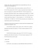 Petição Inicial - INDENIZAÇÃO POR DANOS MATERIAIS E LUCROS CESSANTES DECORRENTES DE ACIDENTE DE TRÂNSITO