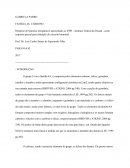 Relatório de Química Inorgânica I Apresentado ao IFPR
