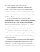 RESENHA DOS TEXTOS TEÓRICOS CAPÍTULO 5 DE “LITERATURA COMPARADA” DE TÂNIA CARVALHAL E “INTERTEXTUALIDADE” DE SANDA NITRINI